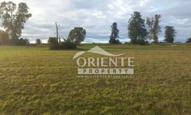 CAMINO DE OSORNO A PUERTO OCTAY KM 12