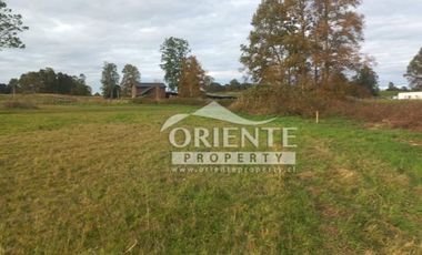 CAMINO DE OSORNO A PUERTO OCTAY KM 12