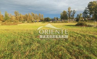 CAMINO DE OSORNO A PUERTO OCTAY KM 12