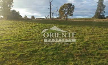 CAMINO DE OSORNO A PUERTO OCTAY KM 12