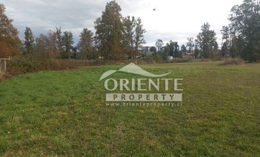 CAMINO DE OSORNO A PUERTO OCTAY KM 12