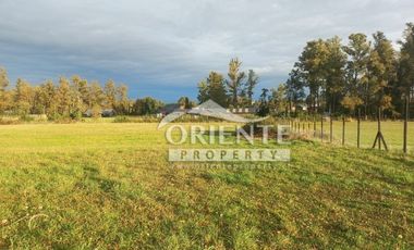 CAMINO DE OSORNO A PUERTO OCTAY KM 12