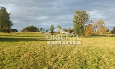 CAMINO DE OSORNO A PUERTO OCTAY KM 12