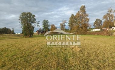 CAMINO DE OSORNO A PUERTO OCTAY KM 12