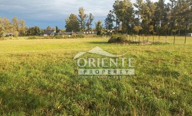 CAMINO DE OSORNO A PUERTO OCTAY KM 12