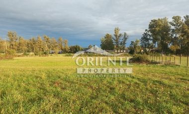 CAMINO DE OSORNO A PUERTO OCTAY KM 12