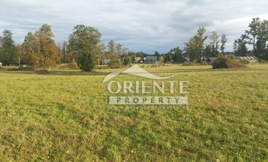 CAMINO DE OSORNO A PUERTO OCTAY KM 12