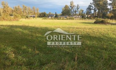 CAMINO DE OSORNO A PUERTO OCTAY KM 12