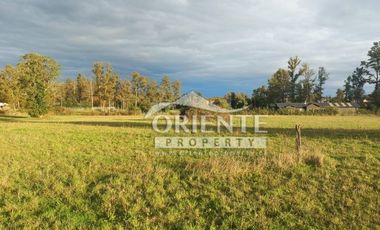 CAMINO DE OSORNO A PUERTO OCTAY KM 12