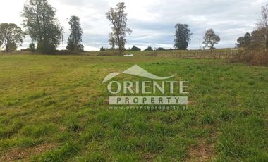 CAMINO DE OSORNO A PUERTO OCTAY KM 12