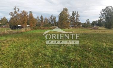 CAMINO DE OSORNO A PUERTO OCTAY KM 12