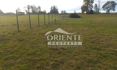 CAMINO DE OSORNO A PUERTO OCTAY KM 12