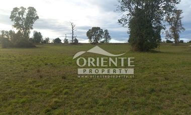 CAMINO DE OSORNO A PUERTO OCTAY KM 12