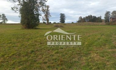 CAMINO DE OSORNO A PUERTO OCTAY KM 12