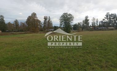 CAMINO DE OSORNO A PUERTO OCTAY KM 12