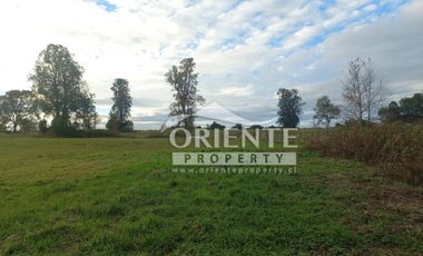 CAMINO DE OSORNO A PUERTO OCTAY KM 12