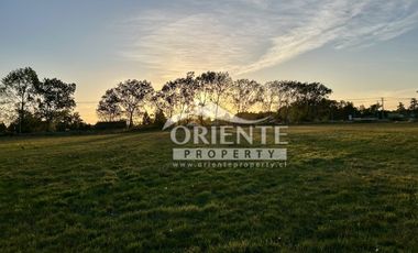 CAMINO DE OSORNO A PUERTO OCTAY KM 12