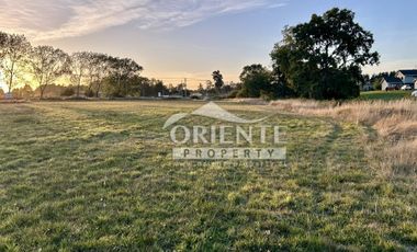 CAMINO DE OSORNO A PUERTO OCTAY KM 12