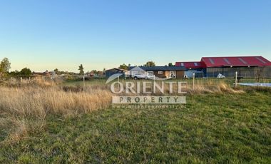 CAMINO DE OSORNO A PUERTO OCTAY KM 12