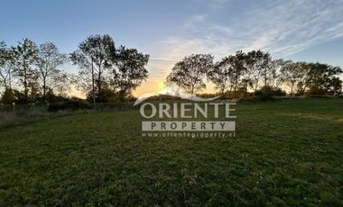 CAMINO DE OSORNO A PUERTO OCTAY KM 12