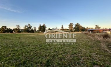 CAMINO DE OSORNO A PUERTO OCTAY KM 12