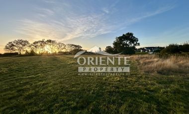 CAMINO DE OSORNO A PUERTO OCTAY KM 12