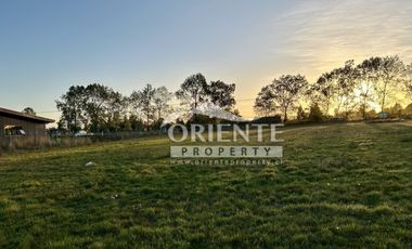 CAMINO DE OSORNO A PUERTO OCTAY KM 12