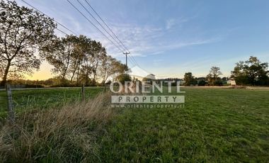 CAMINO DE OSORNO A PUERTO OCTAY KM 12