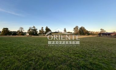 CAMINO DE OSORNO A PUERTO OCTAY KM 12