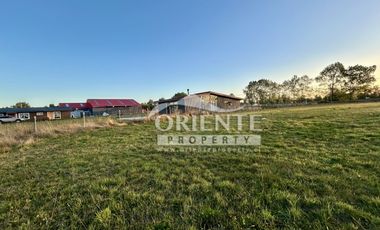 CAMINO DE OSORNO A PUERTO OCTAY KM 12