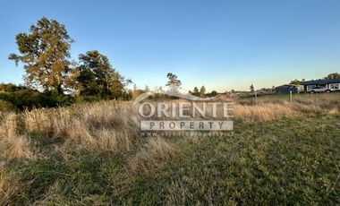 CAMINO DE OSORNO A PUERTO OCTAY KM 12