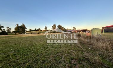 CAMINO DE OSORNO A PUERTO OCTAY KM 12