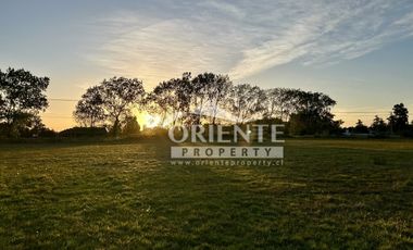 CAMINO DE OSORNO A PUERTO OCTAY KM 12