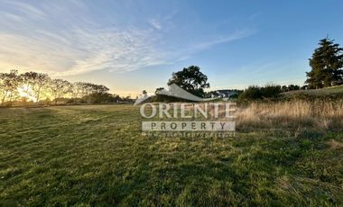 CAMINO DE OSORNO A PUERTO OCTAY KM 12