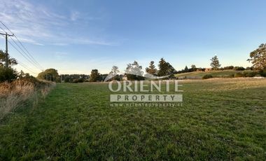 CAMINO DE OSORNO A PUERTO OCTAY KM 12