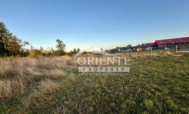 CAMINO DE OSORNO A PUERTO OCTAY KM 12