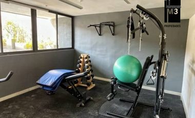 Lindo Studio 1D/1B, Barrio Universitario