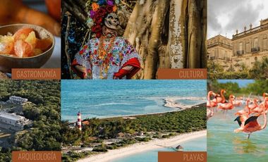 Venta Casa en Centro de Merida Yucatan