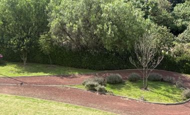 Casa en renta en lomas del rio