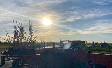 Lote en venta - Barrio San Roque, Canning