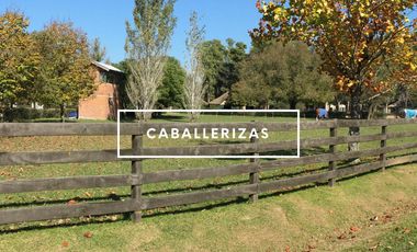 Newman II, casa venta, restaurada a nuevo, 8 amb con gran lote y pileta