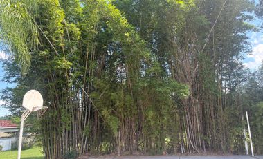 Quinta en venta al pie de la Carretera Nacional, Allende, NL