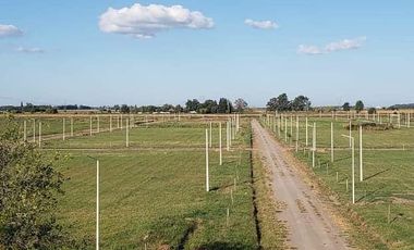 Terreno - Campos del Oeste - Alvear