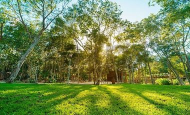 Venta Terreno Ciudad Mayakoba, Riviera Maya, Playa del Carmen, entrega inmediata