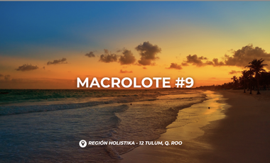 Venta Macro Lote Tulum para desarrollar