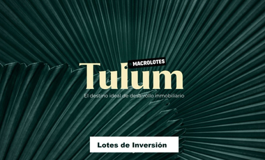 Venta Macro lotes Tulum, Zona Holistika Región 12 para proyecto