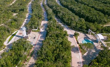 Venta Terreno Residencial Playa del Carmen, Ciudad Mayakoba, Riviera Maya