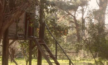 HERMOSA QUINTA EN LA REJA