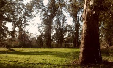 HERMOSA QUINTA EN LA REJA