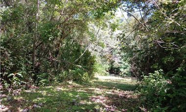 LA ERMITA DE SAN CARLOS / 66000M / FRENTE A VIA PANAMERICANA / RIO AG